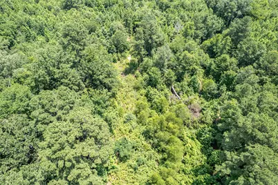 15688 US Highway 271, Tyler, TX 75708 - Photo 12