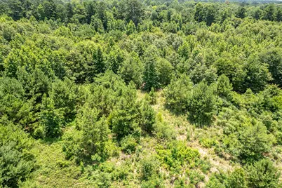 15688 US Highway 271, Tyler, TX 75708 - Photo 18