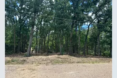 104 Red Bluff Loop, Mabank, TX 75156 - Photo 2