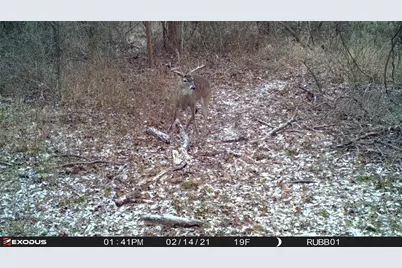 3324 County Road 3206, Dawson, TX 76639 - Photo 38