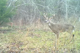 3324 County Road 3206, Dawson, TX 76639 - Photo 1