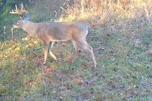 3324-A County Road 3206, Dawson, TX 76639 - Photo 2
