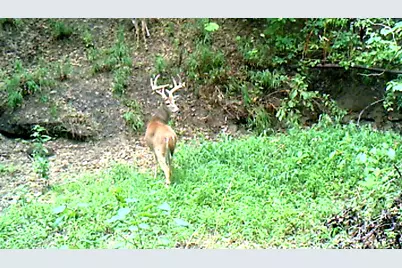 3324-A County Road 3206, Dawson, TX 76639 - Photo 10