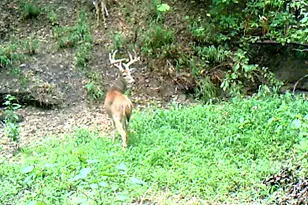 3324-A County Road 3206, Dawson, TX 76639 - Photo 10