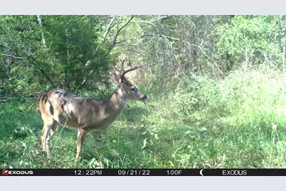 3324-A County Road 3206, Dawson, TX 76639 - Photo 6