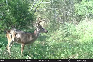 3324-A County Road 3206, Dawson, TX 76639 - Photo 6