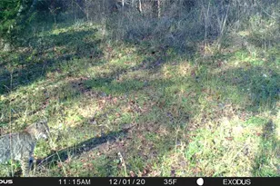 3324-A County Road 3206, Dawson, TX 76639 - Photo 8