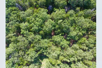 19C Coyote Springs Court, Gordonville, TX 76245 - Photo 4