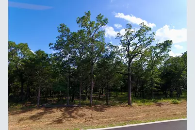 19C Coyote Springs Court, Gordonville, TX 76245 - Photo 2