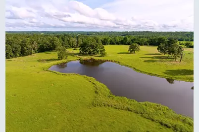 1 Fm 323, Elkhart, TX 75839 - Photo 14