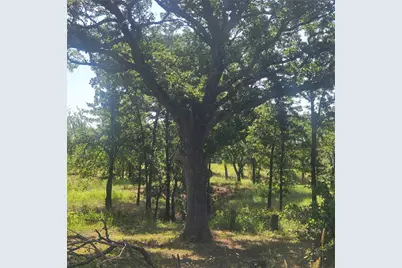 4112 Vista Oak Drive, Royse City, TX 75189 - Photo 6