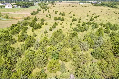 Tbd County Road 1061, Greenville, TX 75401 - Photo 20