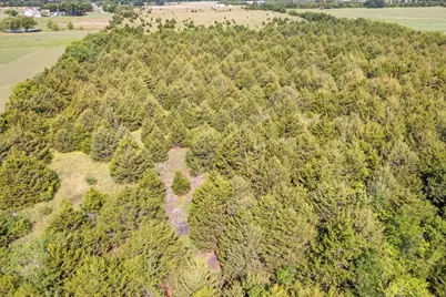 Tbd County Road 1061, Greenville, TX 75401 - Photo 22