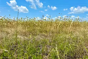 Lot 8 Cr-590, Nevada, TX 75173 - Photo 1