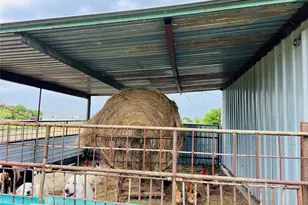 267 S Hopkins Ave, Emhouse, TX 75110 - Photo 12