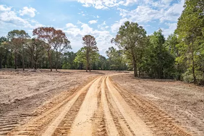 Tract 3 - Tbd County Road 4307, LaRue, TX 75770 - Photo 6