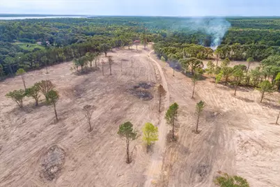 Tract 3 - Tbd County Road 4307, LaRue, TX 75770 - Photo 12