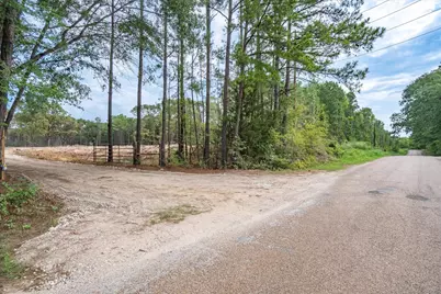 Tract 3 - Tbd County Road 4307, LaRue, TX 75770 - Photo 4