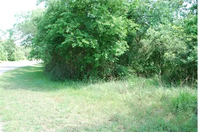 27183 Whispering Meadow Drive, Whitney, TX 76692 - Photo 8