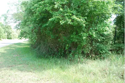 27183 Whispering Meadow Drive, Whitney, TX 76692 - Photo 6