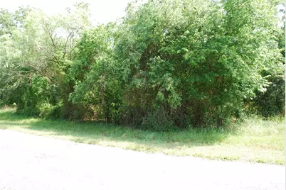 27183 Whispering Meadow Drive, Whitney, TX 76692 - Photo 4