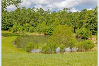 636 Roberson Road, Hallsville, TX 75650 - Photo 38