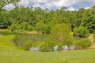 636 Roberson Rd, Hallsville, TX 75650 - Photo 38