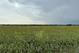 000 County Road 237, Gainesville, TX 76240 - Photo 1