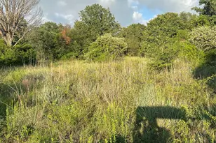 5549 S Fm 730, Decatur, TX 76234 - Photo 4