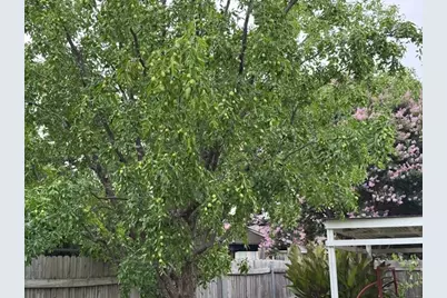 6922 Field Lark Drive, Arlington, TX 76002 - Photo 8