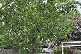 6922 Field Lark Dr, Arlington, TX 76002 - Photo 8