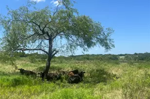 771 Hcr 2233, West, TX 76691 - Photo 16