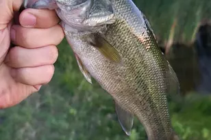 771 Hcr 2233, West, TX 76691 - Photo 26