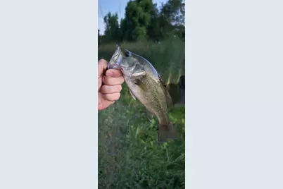 771 Hcr 2233, West, TX 76691 - Photo 28