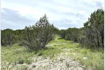 1170 Lighthouse, Bluff Dale, TX 76433 - Photo 18