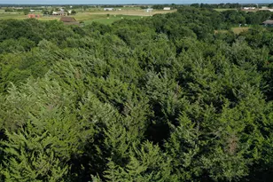 179 County Rd 427, Lorena, TX 76655 - Photo 16