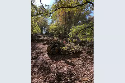 Lot 457 Lakeside Drive, Bowie, TX 76230 - Photo 4