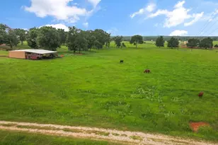 922 S Fm 80, Donie, TX 75838 - Photo 34