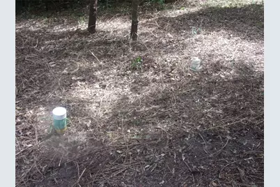 751 Dogwood Trail, Murchison, TX 75778 - Photo 4