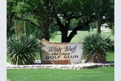 5007 Horseshoe Drive, Whitney, TX 76692 - Photo 20