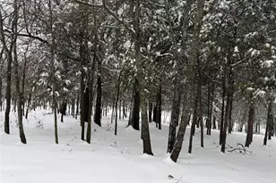 23507 Alexander Rd, Pilot Point, TX 76258 - Photo 24