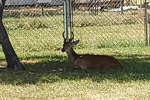 1541 Dawn Dr N, Pelican Bay, TX 76020 - Photo 38