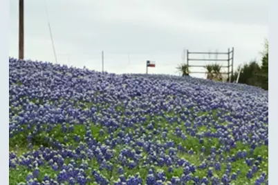 637 Snap Road, Sherman, TX 75090 - Photo 2