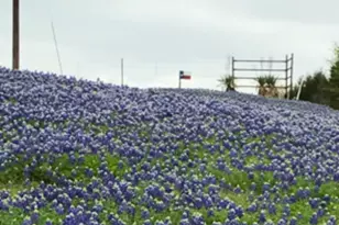 637 Snap Rd, Sherman, TX 75090 - Photo 2