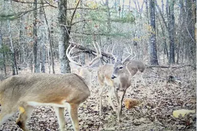 2575 Cr 2724, Mineola, TX 75773 - Photo 32