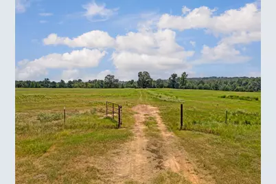 Tbd Tract 2 State Highway 155, Ore City, TX 75755 - Photo 14