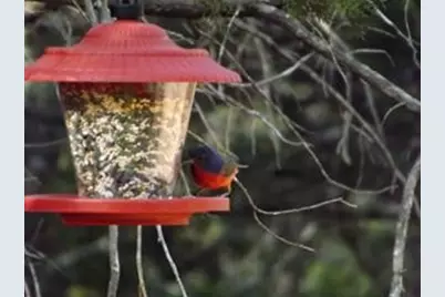 30040 Greenhill Drive, Whitney, TX 76692 - Photo 2