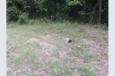 Tbd Holly Glen, Murchison, TX 75778 - Photo 2