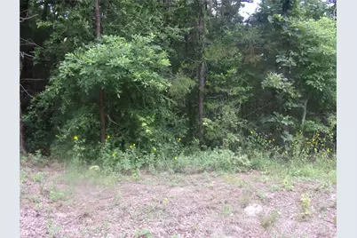 Tbd Holly Glen, Murchison, TX 75778 - Photo 4