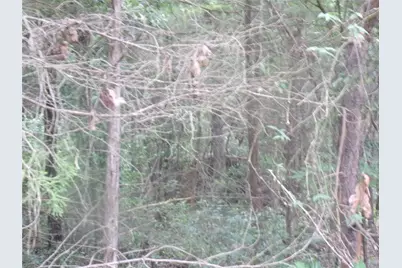 Tbd Holly Glen, Murchison, TX 75778 - Photo 6